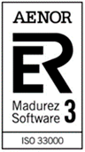 ISO 33000