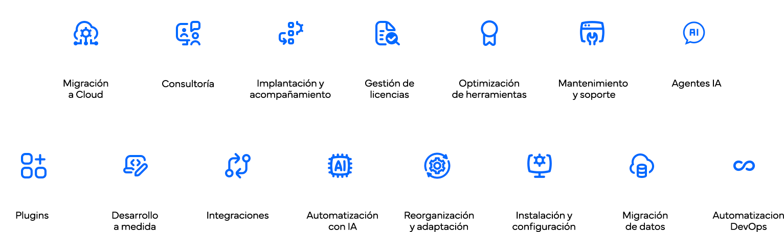 Iconos del desarrollo a medida